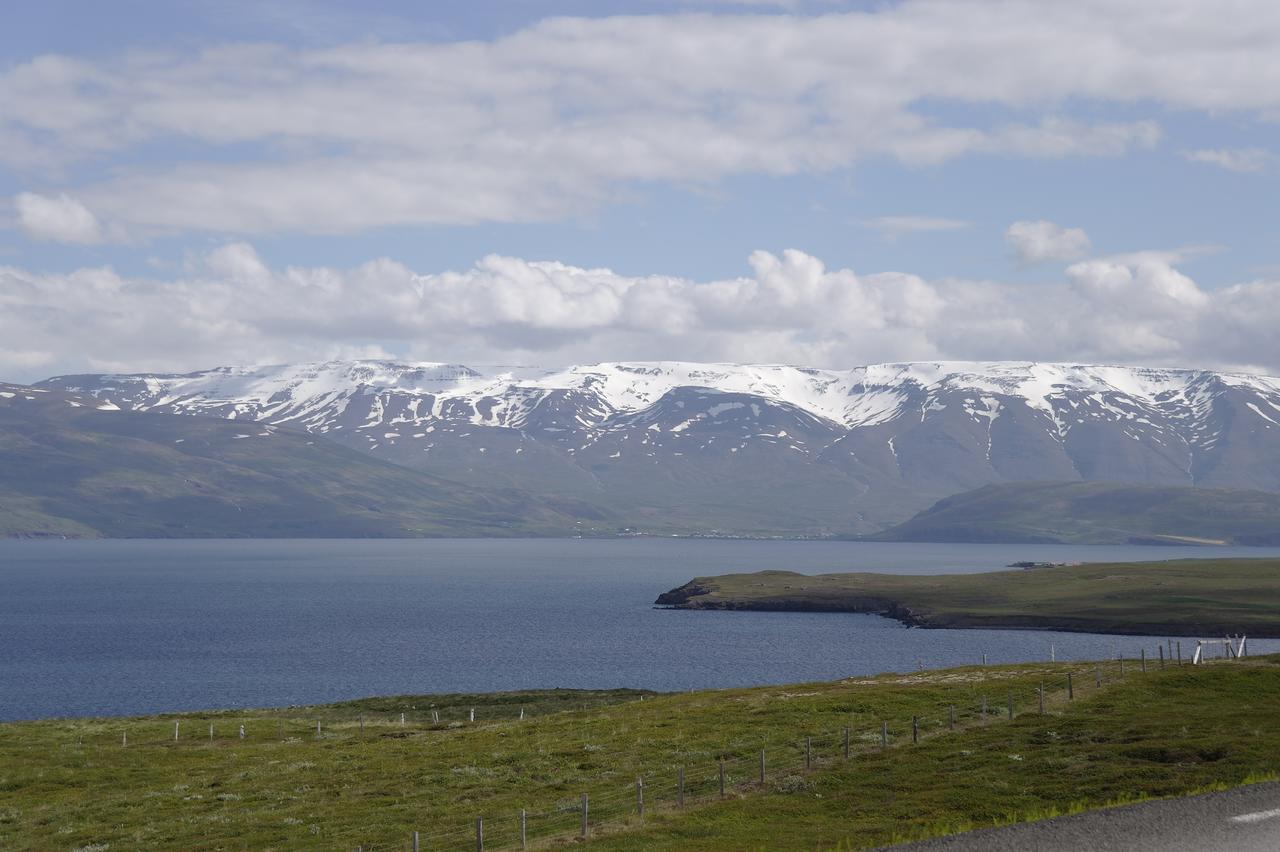 Hotel Dalvik Bagian luar foto